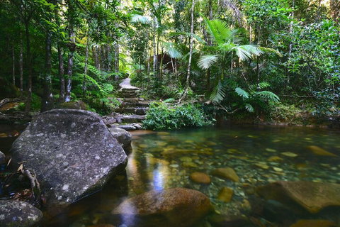 Daintree Cascades - Foster Accommodation 2