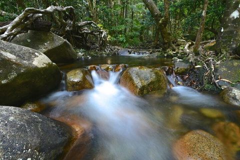 Daintree Cascades - Foster Accommodation 1