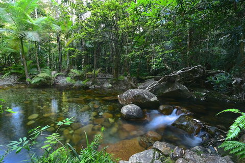 Daintree Cascades - Foster Accommodation 5