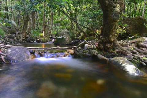 Daintree Cascades - Foster Accommodation 6