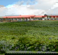 Turners Vineyard Motel and Function Centre - Foster Accommodation
