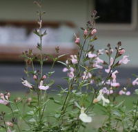 Serendipity on Allyn - Foster Accommodation