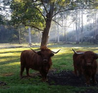 Dingley Dell - Foster Accommodation