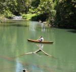 Figtree Getaway - Foster Accommodation