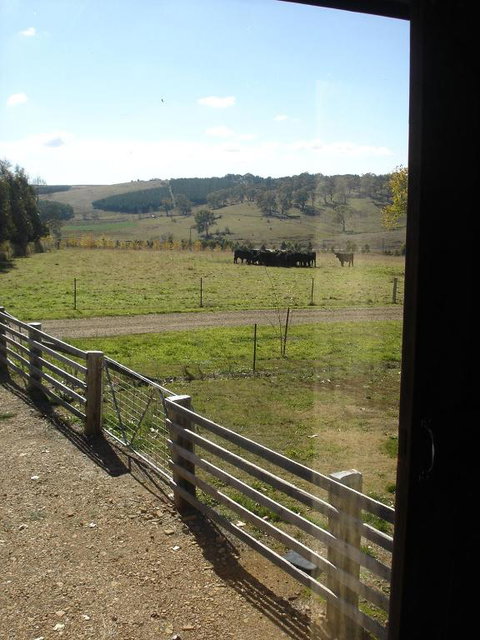 Black Sheep Inn - Foster Accommodation 3