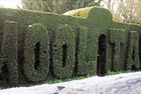 Mooltan House-hepburn Springs - Foster Accommodation 0