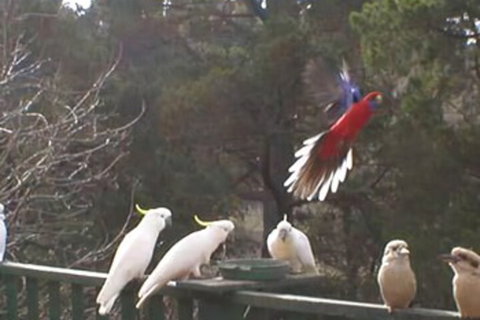 Mooltan House-hepburn Springs - Foster Accommodation 3