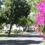 BIG 4 Hay - Foster Accommodation 0