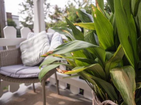 Cottage 79 - Foster Accommodation 5