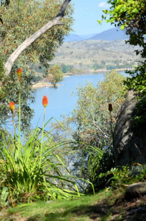 The Point Jindabyne - Foster Accommodation 5