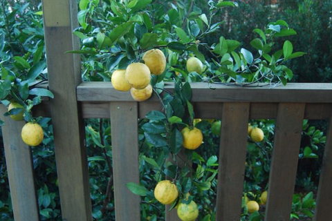 Highclaire House Bed & Breakfast - Foster Accommodation 4