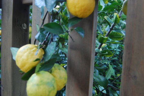 Highclaire House Bed & Breakfast - Foster Accommodation 1