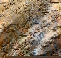 Ballina Palms Boutique Motel - Foster Accommodation