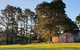 Sutton Forest Cottage - thumb 5
