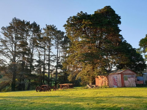 Sutton Forest Cottage - Foster Accommodation 5