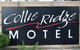 Collie Ridge Motel - thumb 1