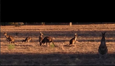 Busselton Guest House - Foster Accommodation 3