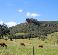 Rosevale House - Foster Accommodation