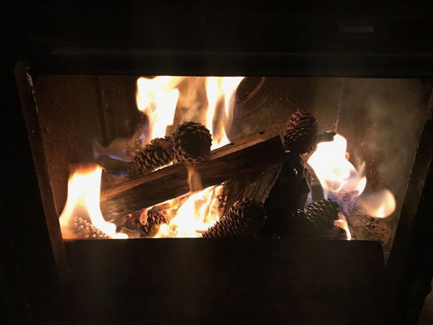 The Polish Place - Foster Accommodation 5