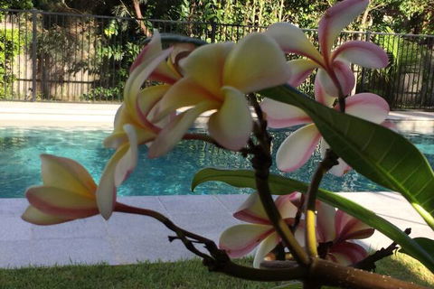 Arabella Garden Inn Motel - Foster Accommodation 2