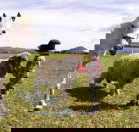 Taras Richmond Farmstay - Foster Accommodation