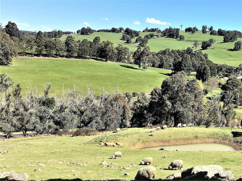 Balingup Highview Chalets - Foster Accommodation 0