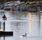 Sunsea Waterfront South Yunderup - Foster Accommodation