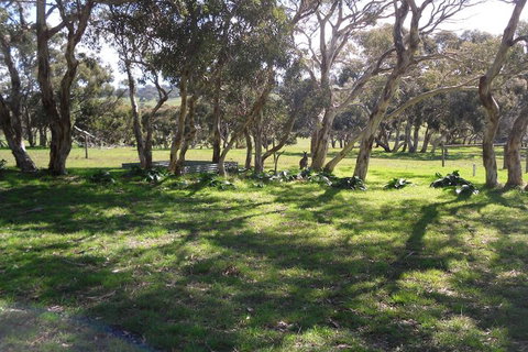 Wenton Farm Holiday Cottages - Foster Accommodation 3