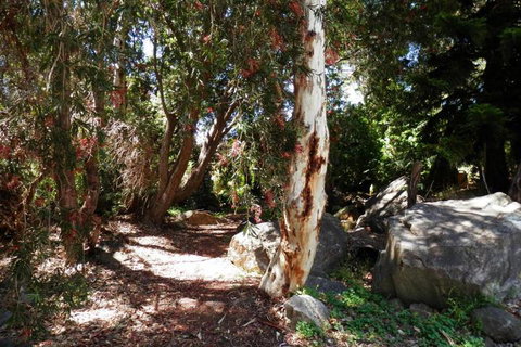 The Hideaway Luxury B & B Retreat - Foster Accommodation 6