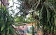 Pandanus Holiday Apartments - thumb 4