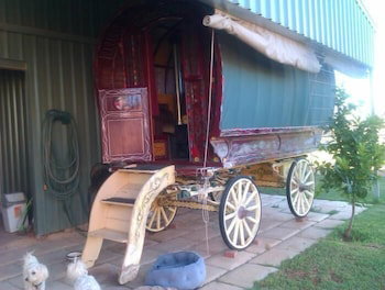  Foster Accommodation