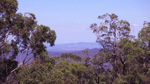 Ravensbourne Escape Cedar Lodge - Foster Accommodation 5