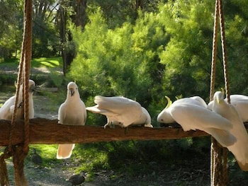 The Burrow At Wombat Bend - Foster Accommodation 0