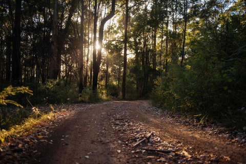Mudstone Spa Retreat - Foster Accommodation 5