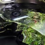 Mudstone Spa Retreat - Foster Accommodation 1