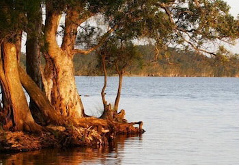 NRMA Myall Shores Holiday Park - Foster Accommodation 2