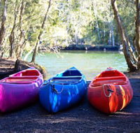 Jervis Bay Cabins  Hidden Creek Campsite - Foster Accommodation
