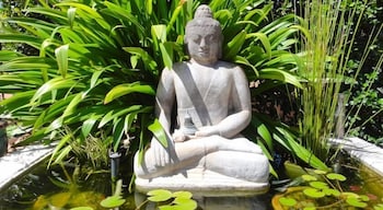 Vatu Sanctuary - Foster Accommodation 4