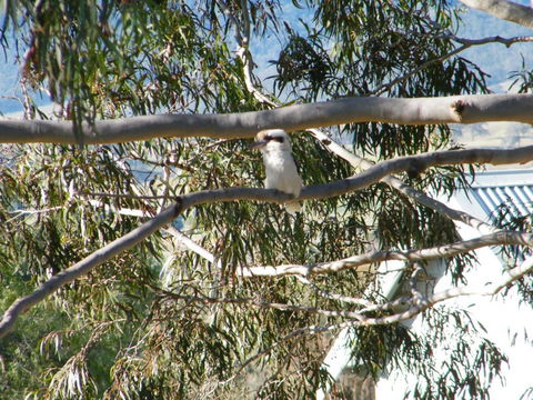 St Peters Fairview - Foster Accommodation 1