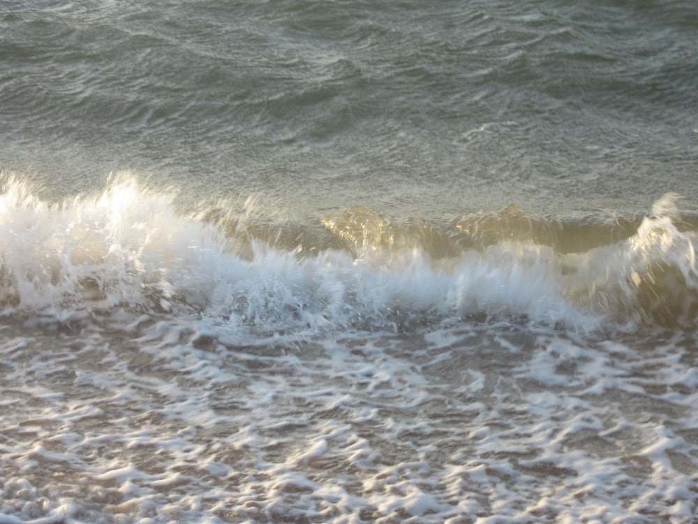 Dampier WA Foster Accommodation