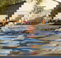 Riverside Cabin Park - Foster Accommodation