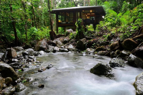 Black Palm Cape Tribulation - Foster Accommodation 3