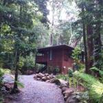 Black Palm Cape Tribulation - Foster Accommodation 0