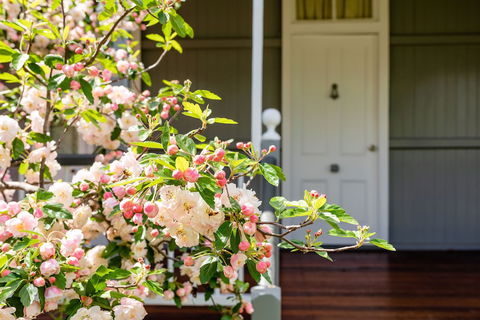 Apple Blossom Cottage - Foster Accommodation 0