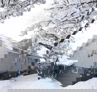 Terama Ski Lodge - Foster Accommodation
