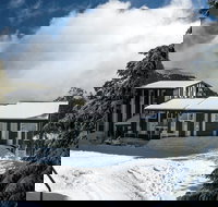 Elk at Falls - Foster Accommodation