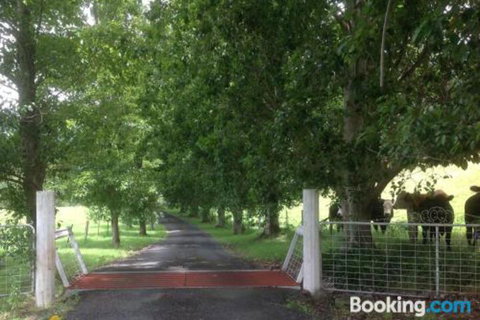 Whispers At Cedar Grove - Foster Accommodation 7