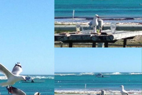 Lous Place - Foster Accommodation 6