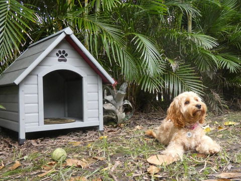 CHILL OUT BEACH HOUSE At FORSTER - Foster Accommodation 3