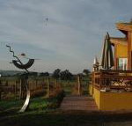 Art at Linden Gate - Foster Accommodation